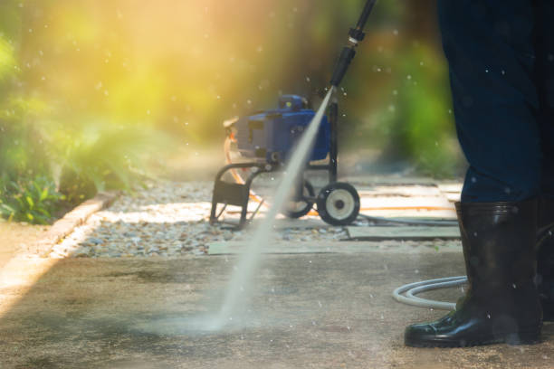 Animal Enclosure Cleaning in China Spring, TX
